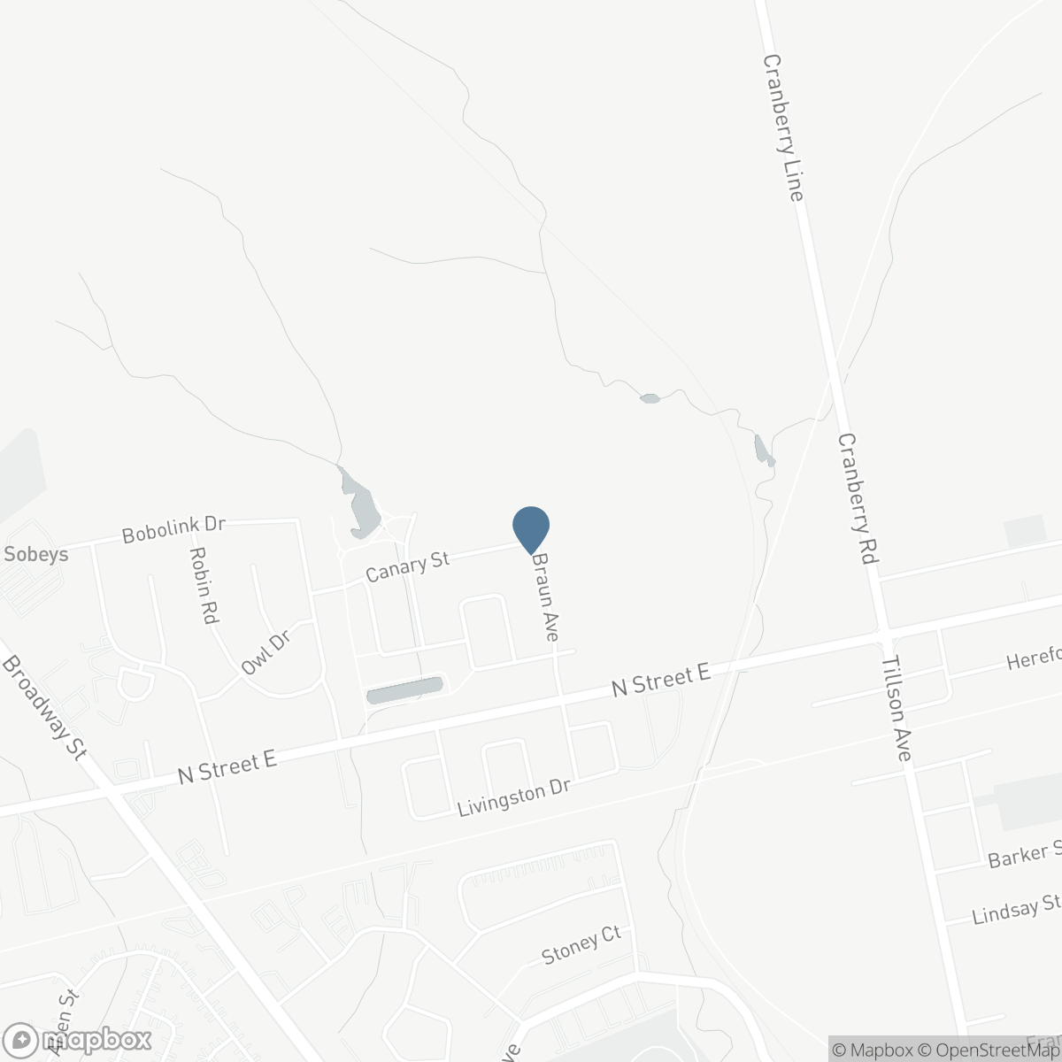 74 BRAUN AVENUE, Tillsonburg, Ontario N4G 0K4